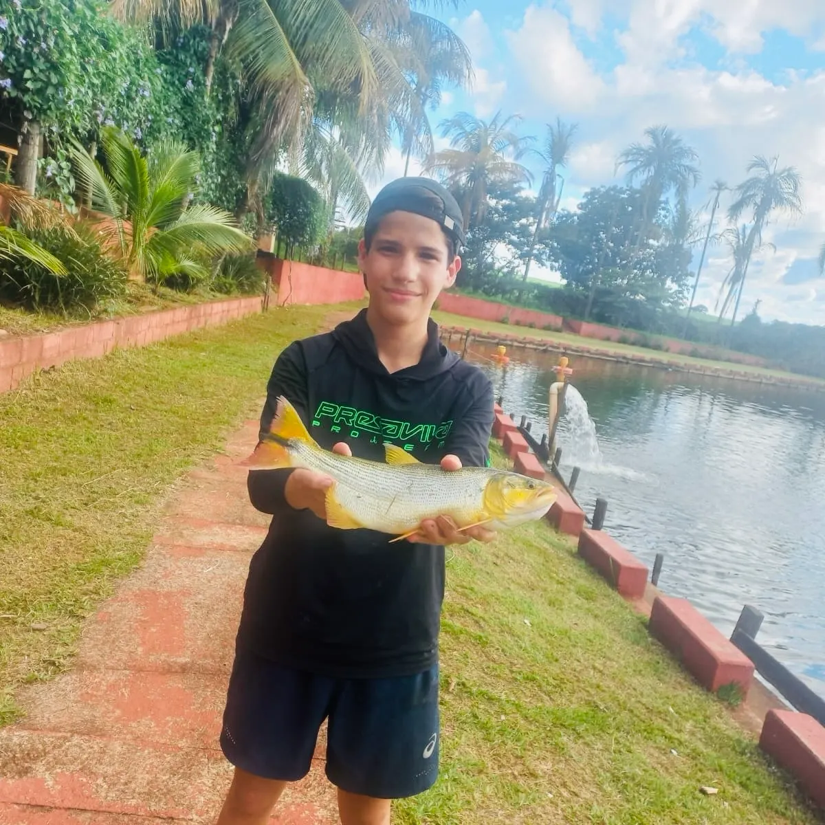 The most recent Golden dorado catches on Fishbrain