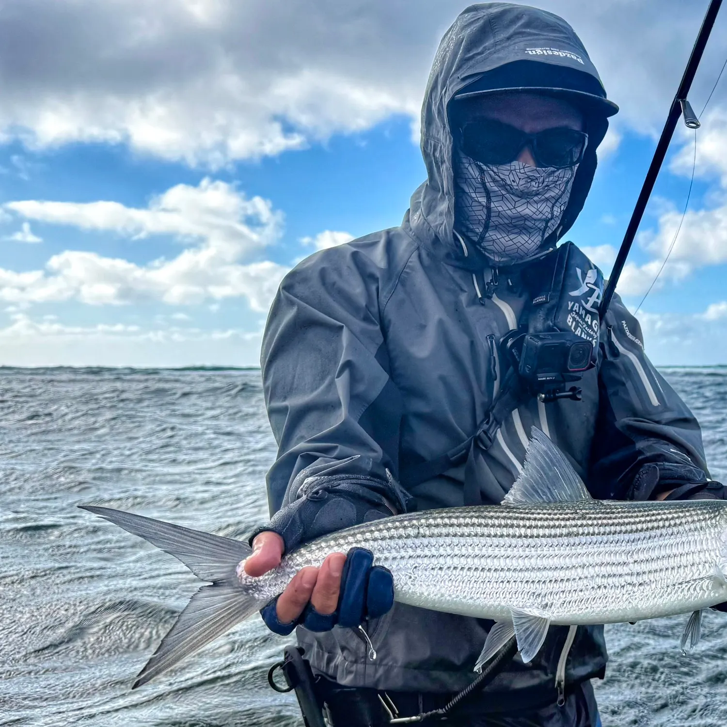 The most recent Roundjaw bonefish catches on Fishbrain