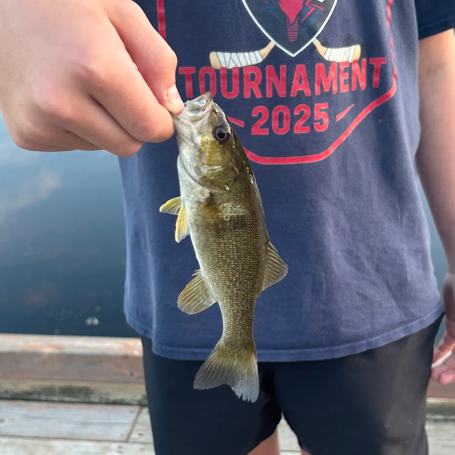 Smallmouth bass caught on Fishbrain