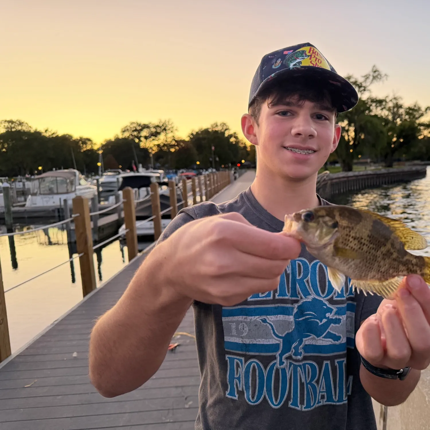 Rock bass caught on Fishbrain