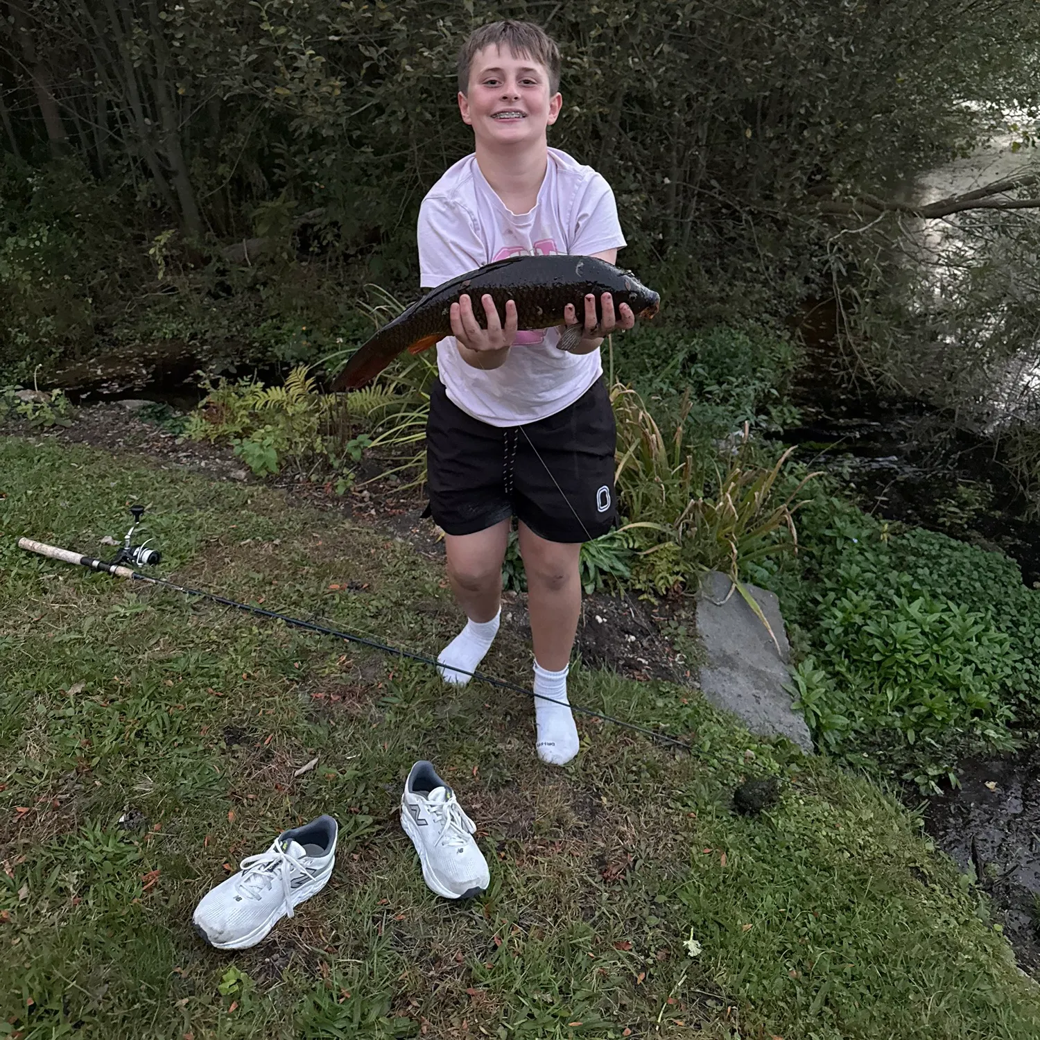Common carp caught on Fishbrain