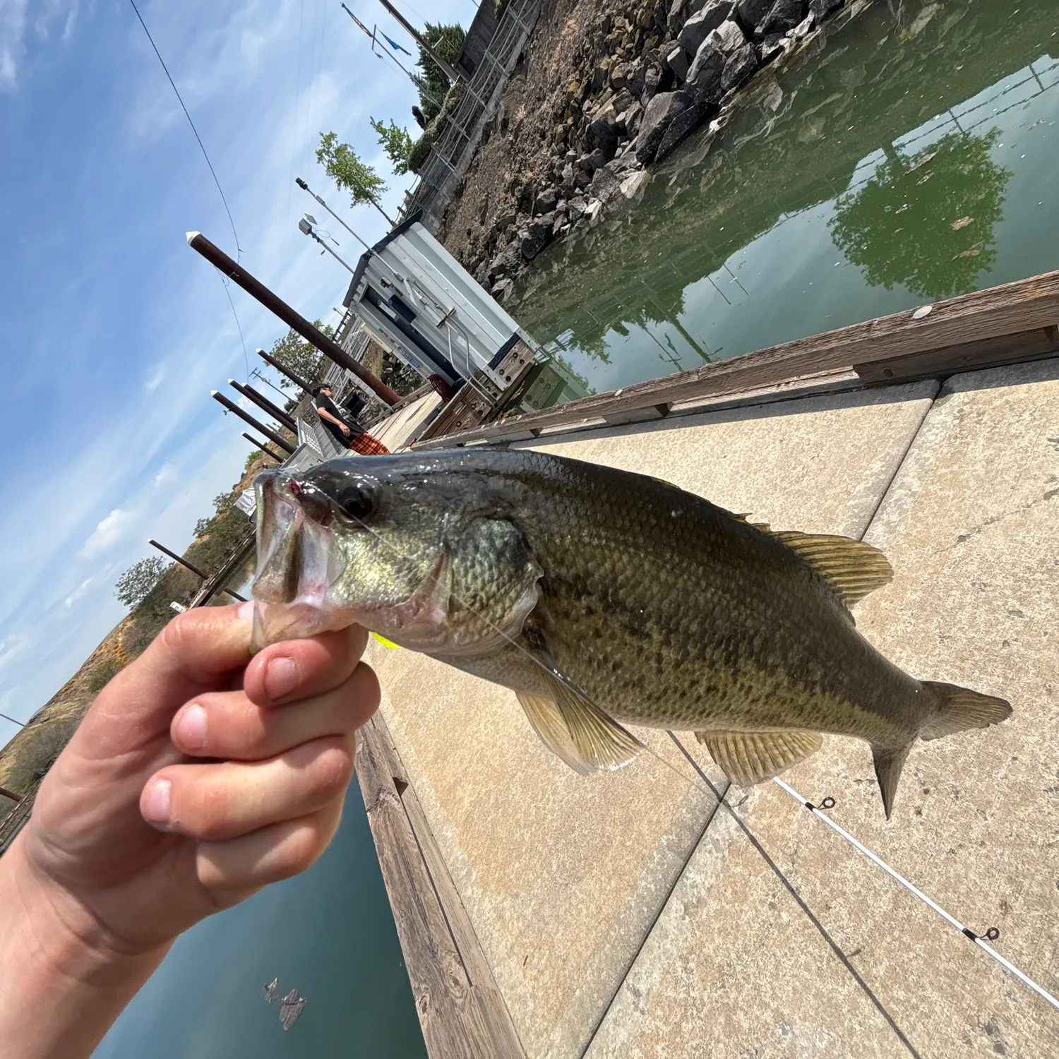 catch