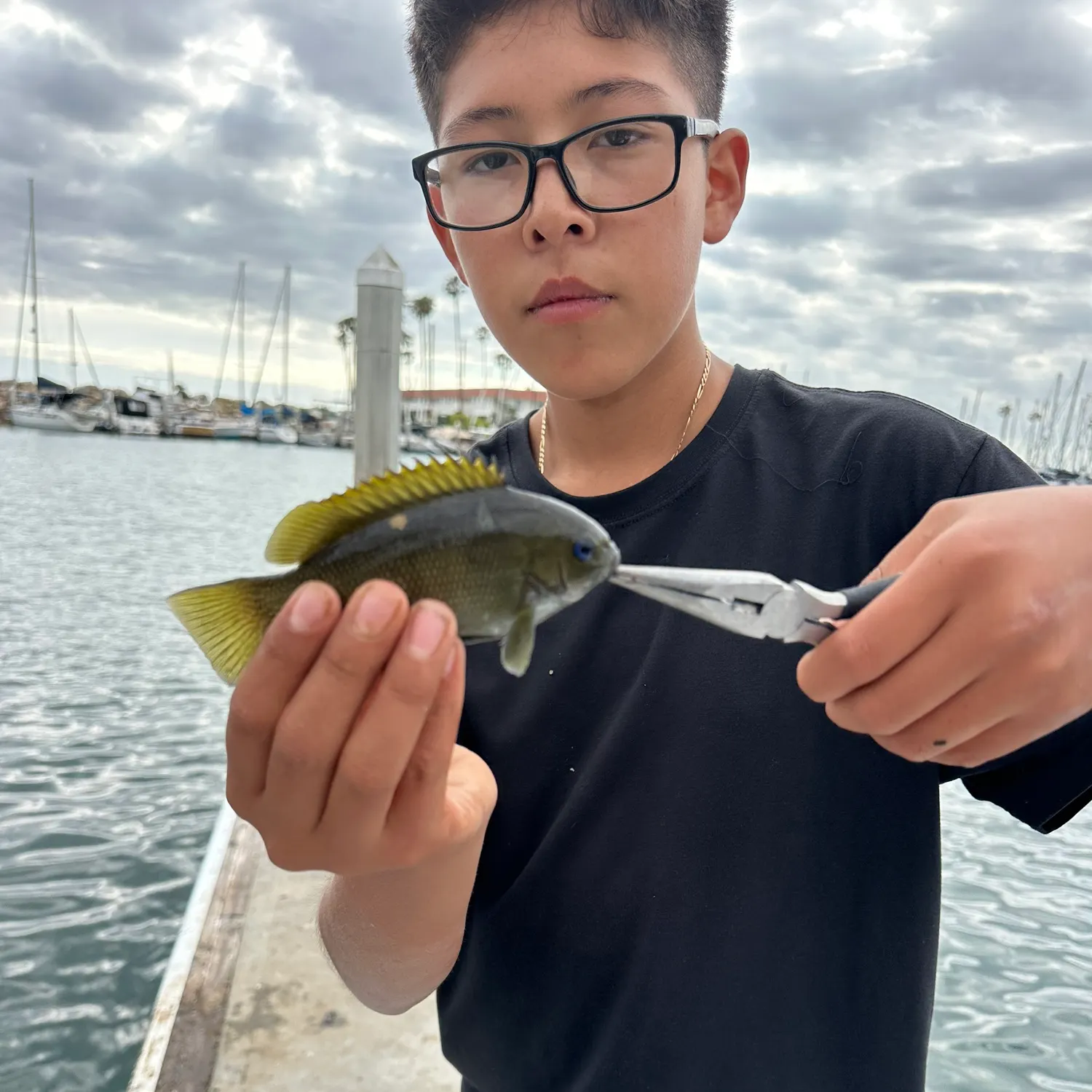 The most recent Opaleye catches on Fishbrain