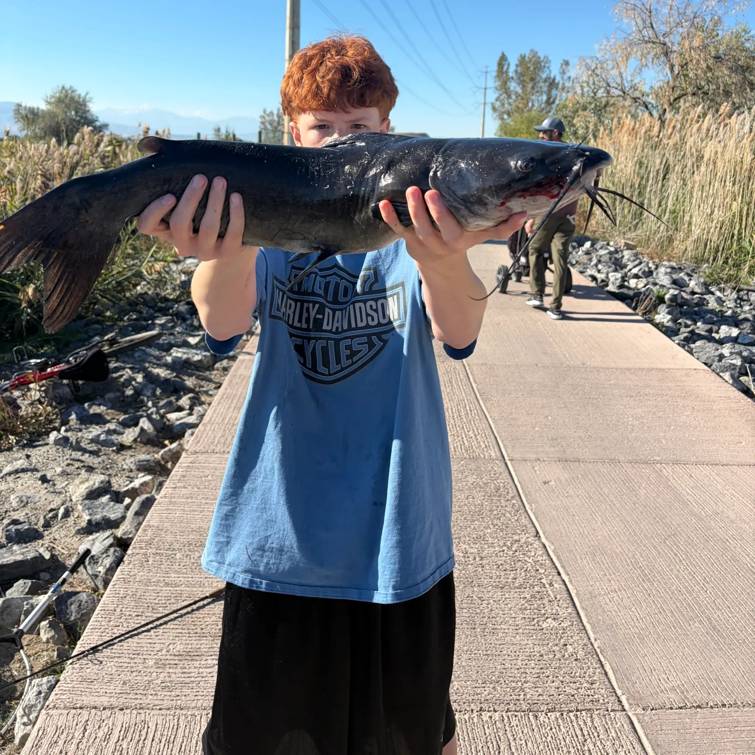 Channel catfish caught on Fishbrain