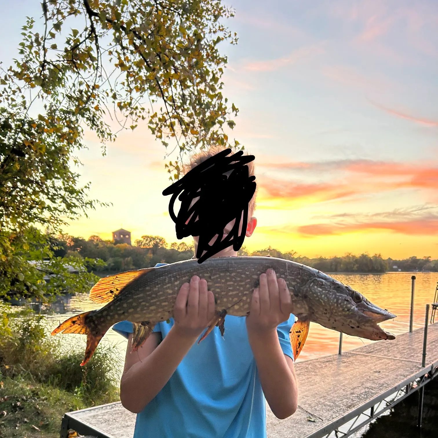 The most recent Northern pike catches on Fishbrain