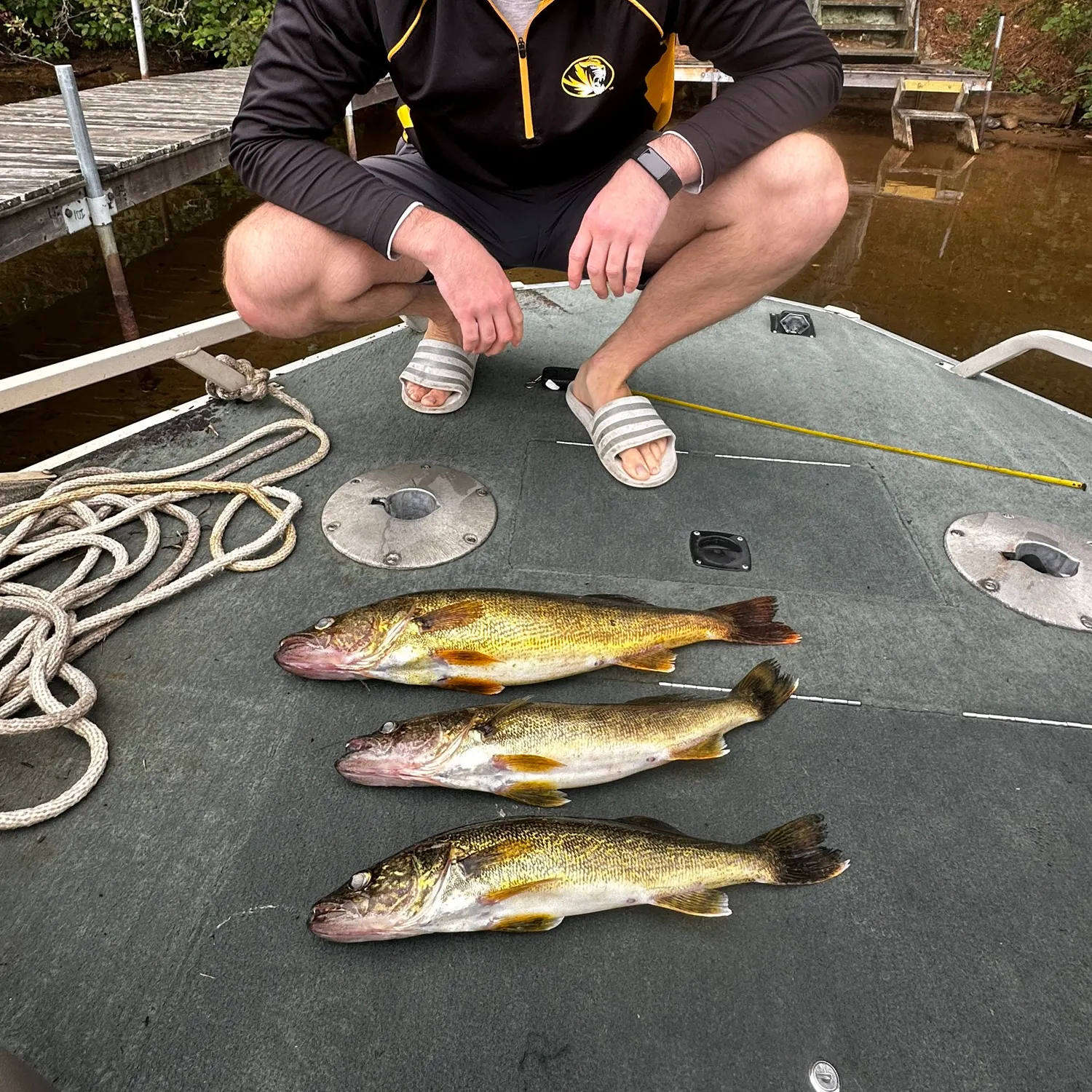 Walleye caught on Fishbrain