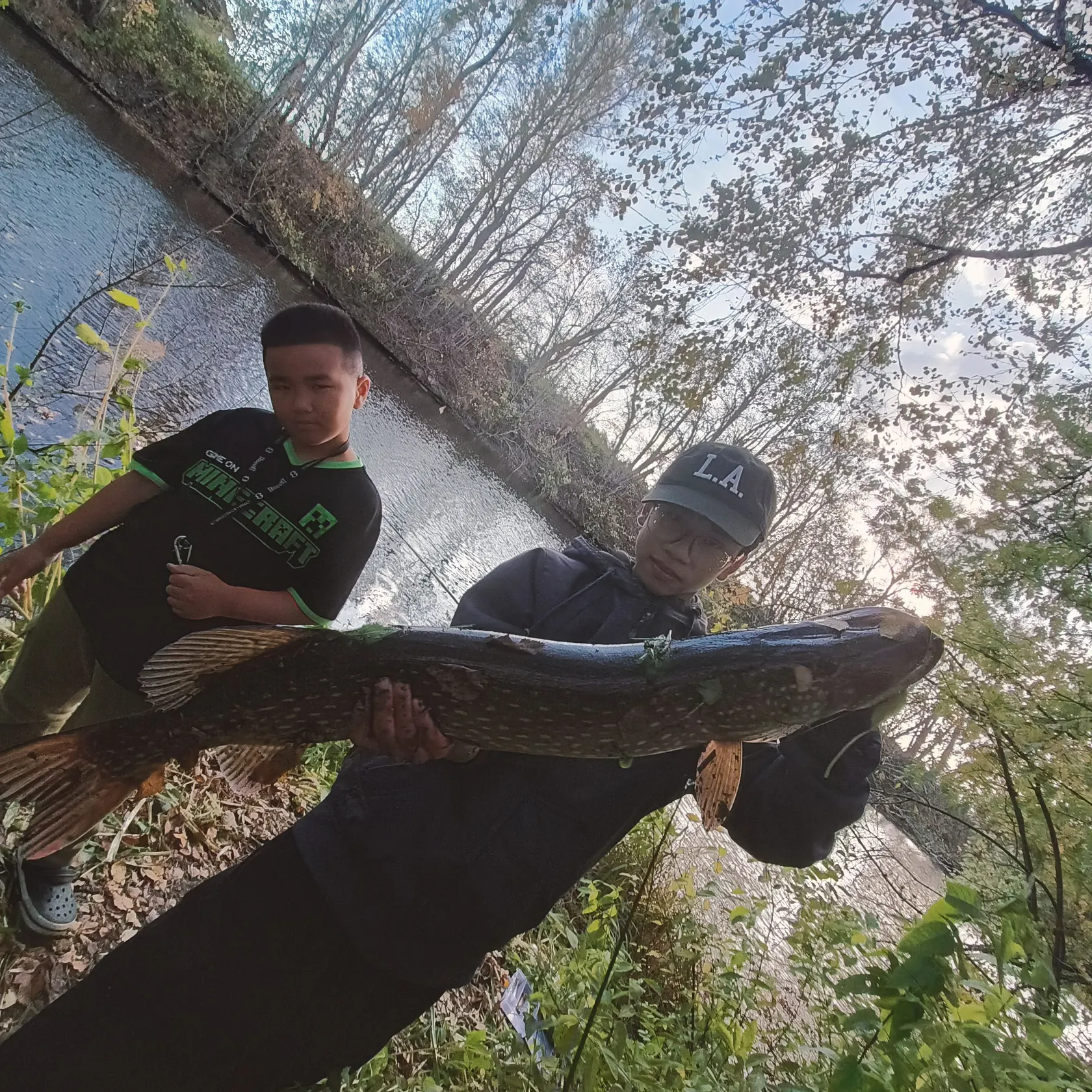 Northern pike caught on Fishbrain