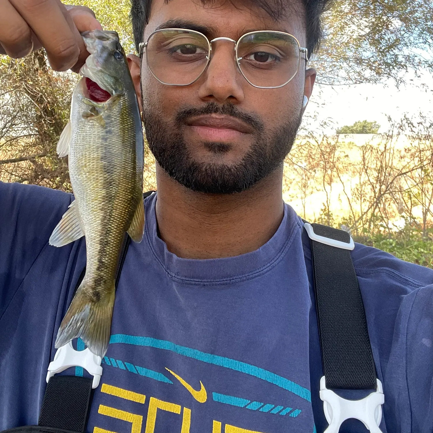 Spotted bass caught on Fishbrain
