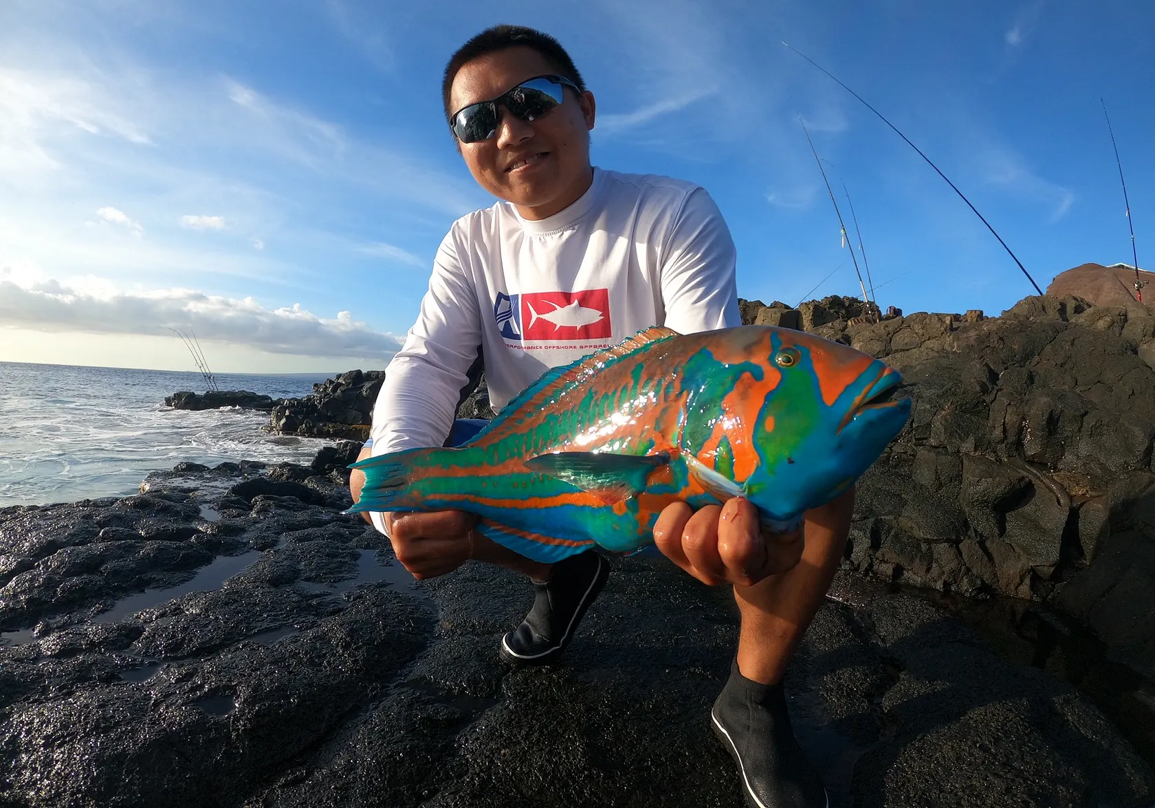 Surge wrasse