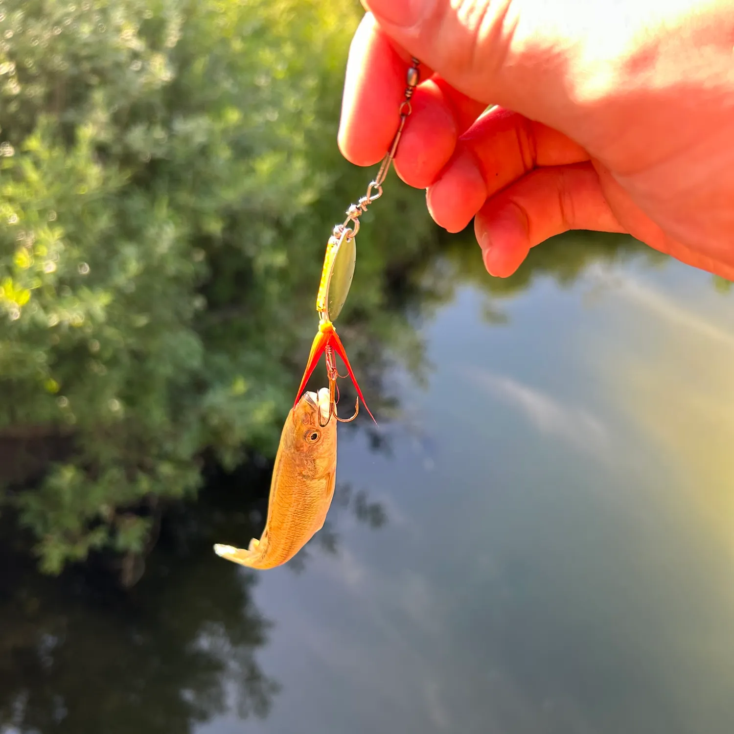 catch