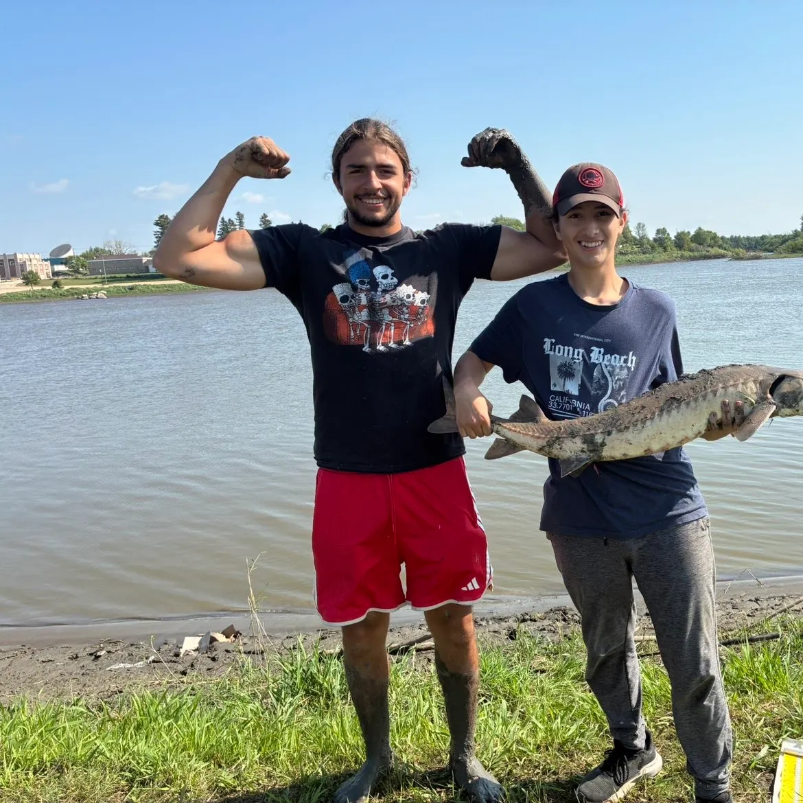 Lake sturgeon caught on Fishbrain