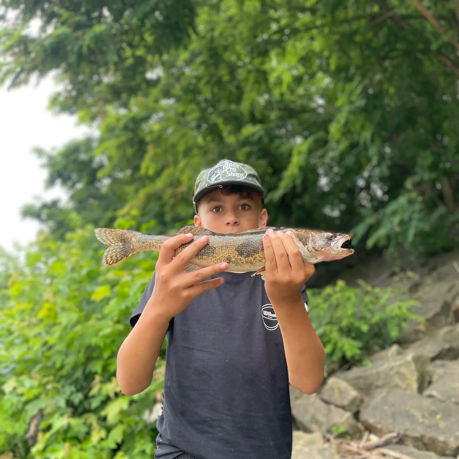 The most recent Sauger catches on Fishbrain
