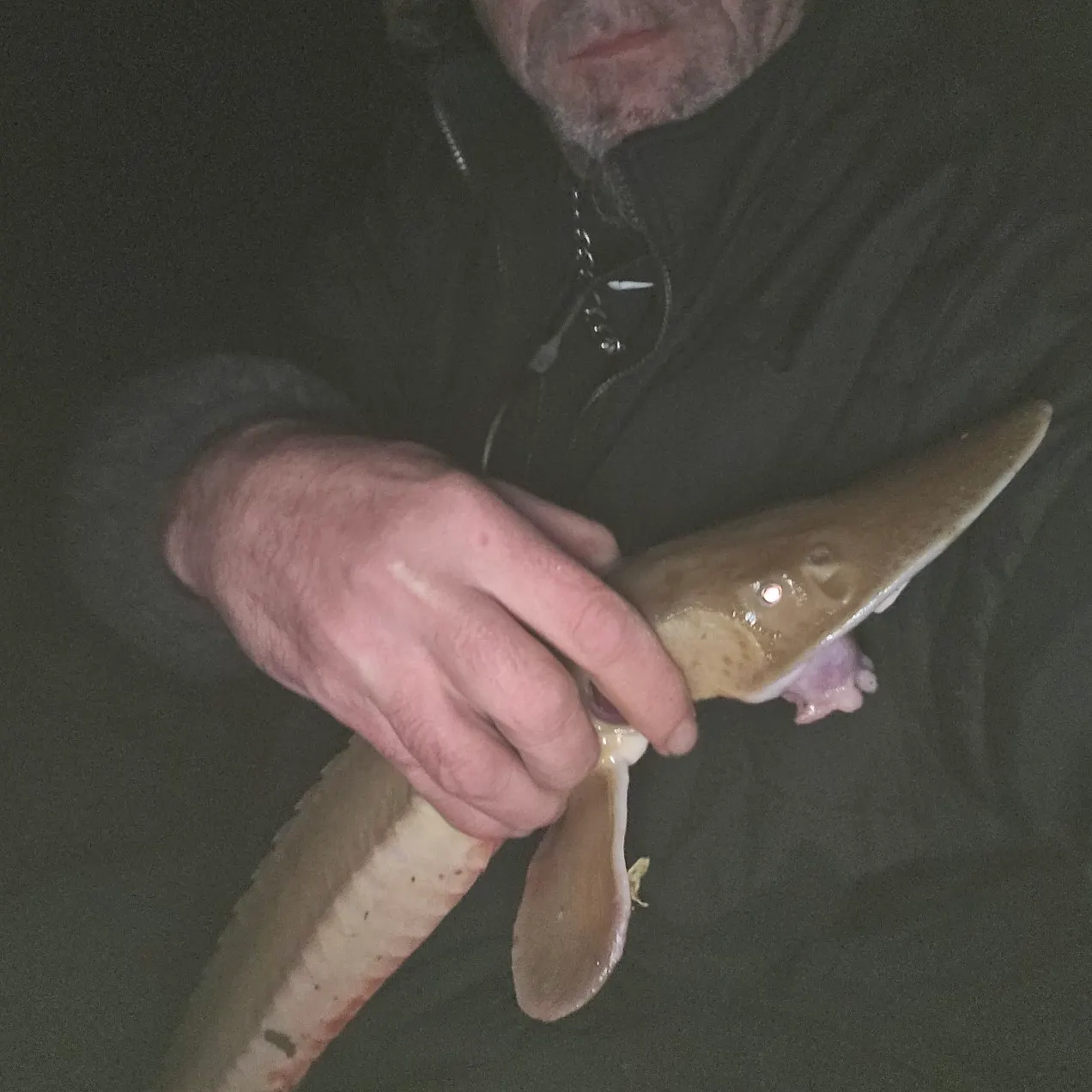 angler catch