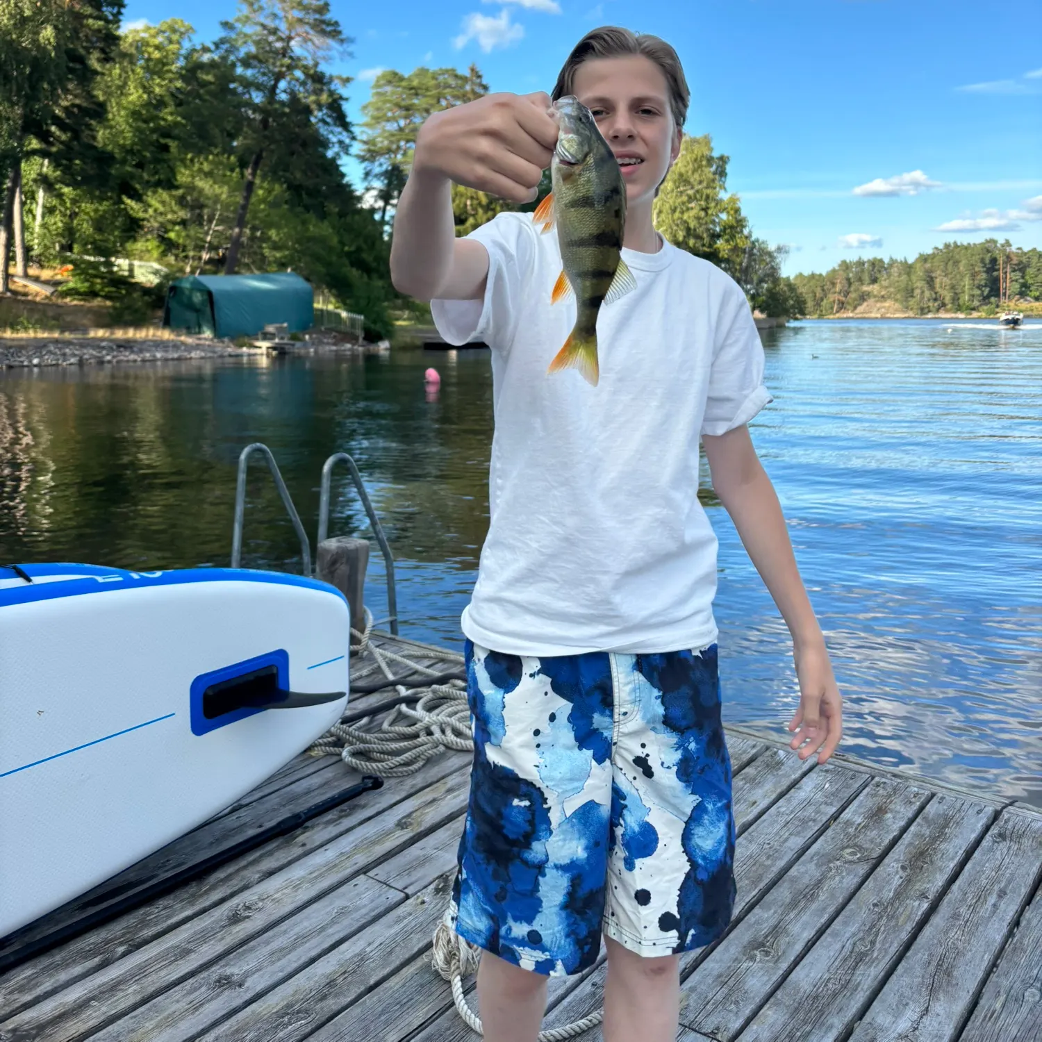 European perch caught on Fishbrain