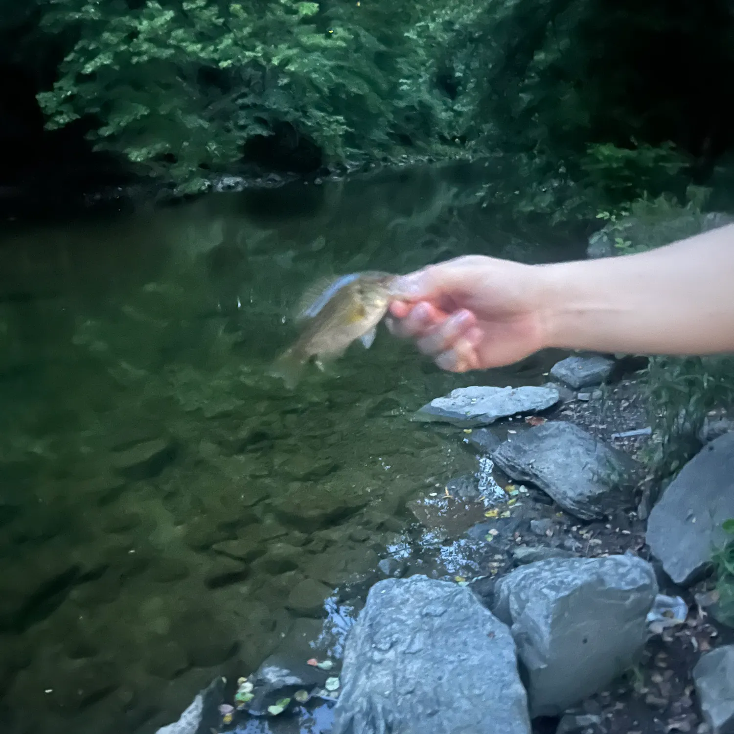 catch
