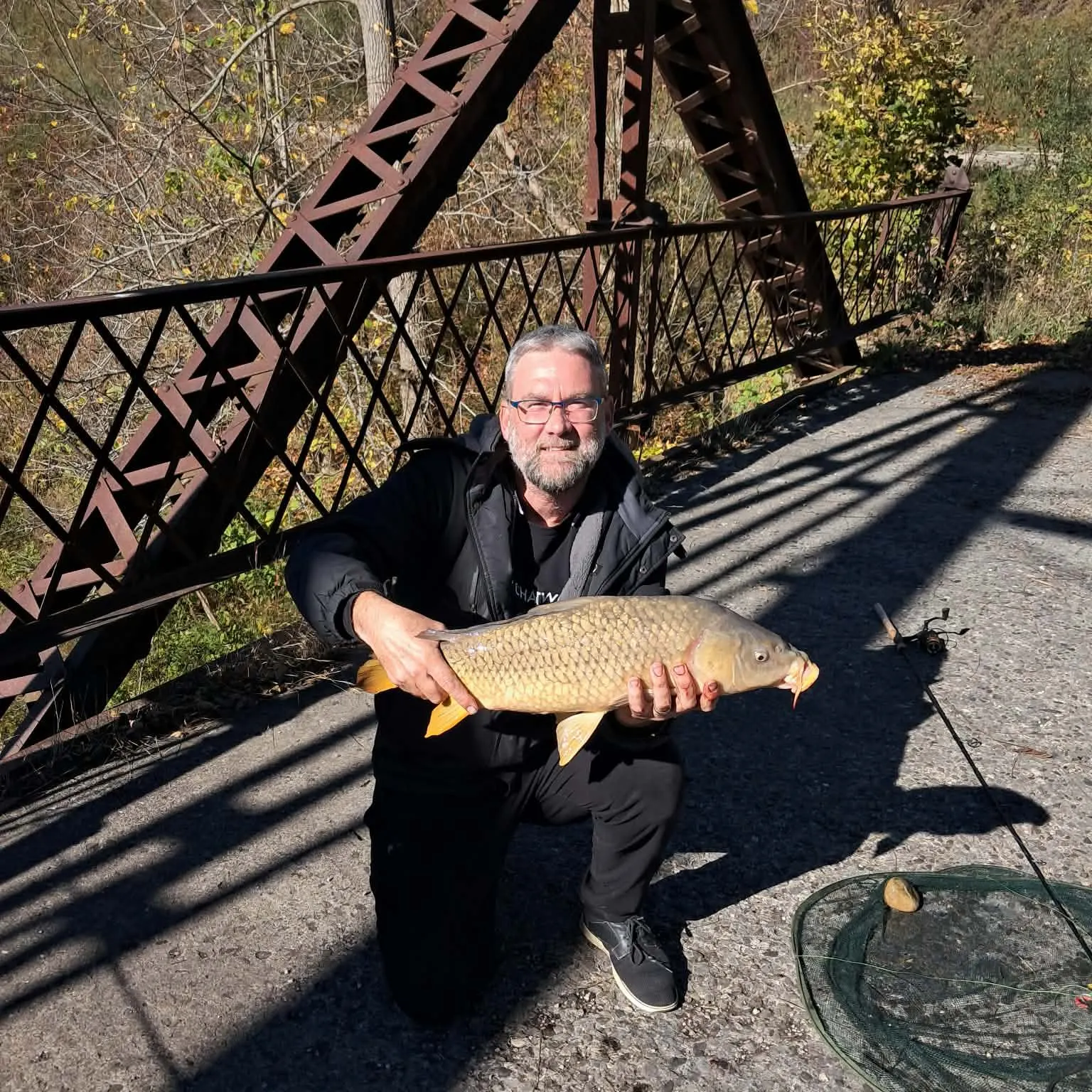 Common carp caught on Fishbrain