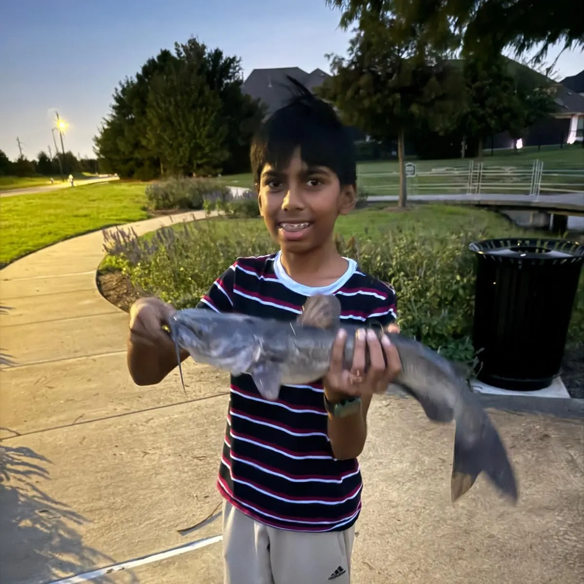 Channel catfish caught on Fishbrain