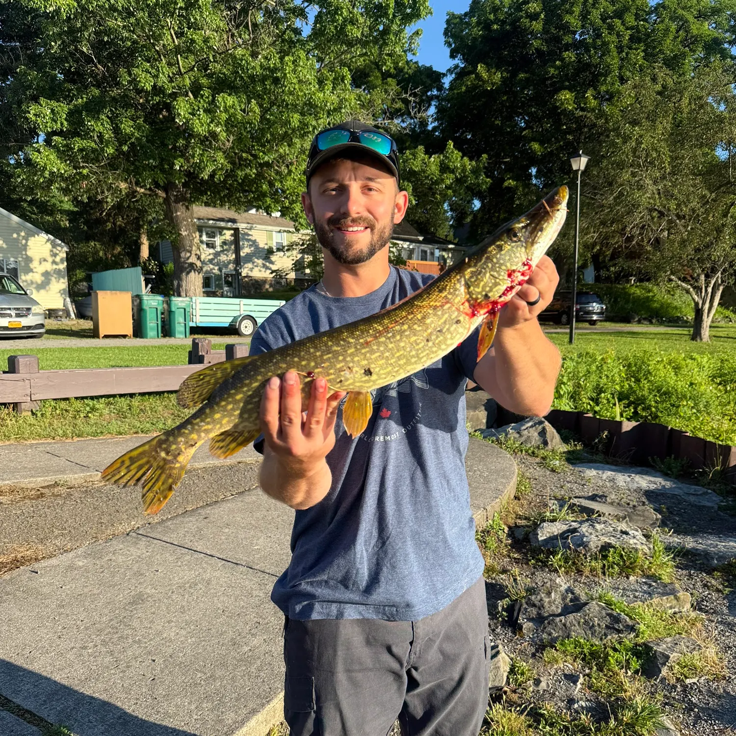 catch