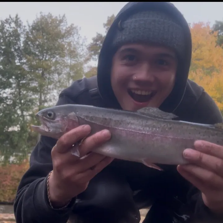 Rainbow trout caught on Fishbrain