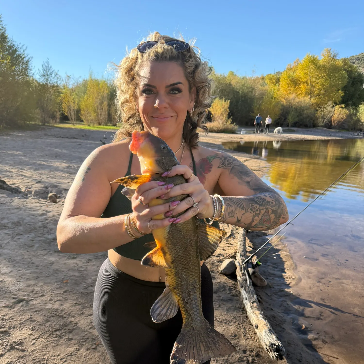 The most recent Sonora sucker catches on Fishbrain