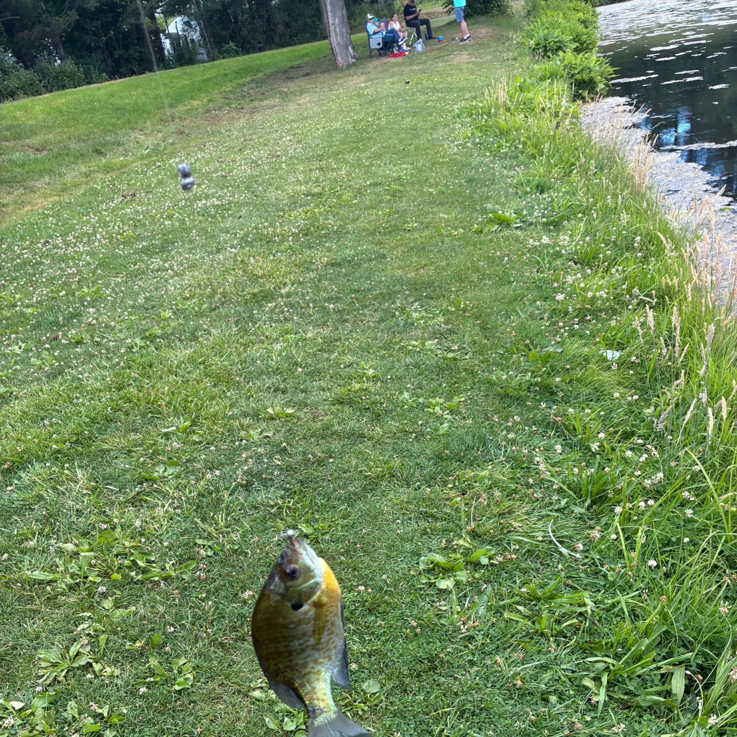catch