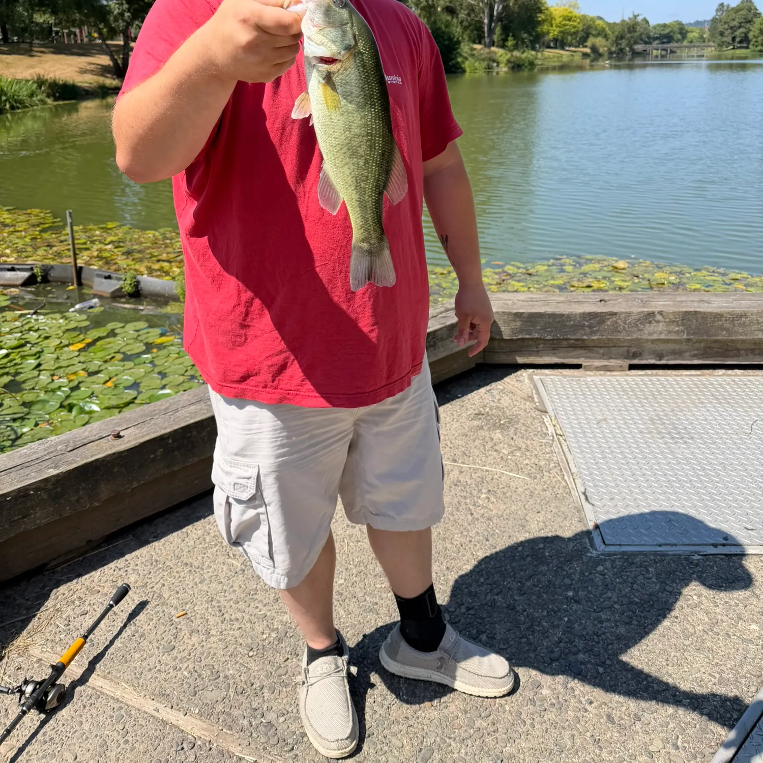 Largemouth bass caught on Fishbrain
