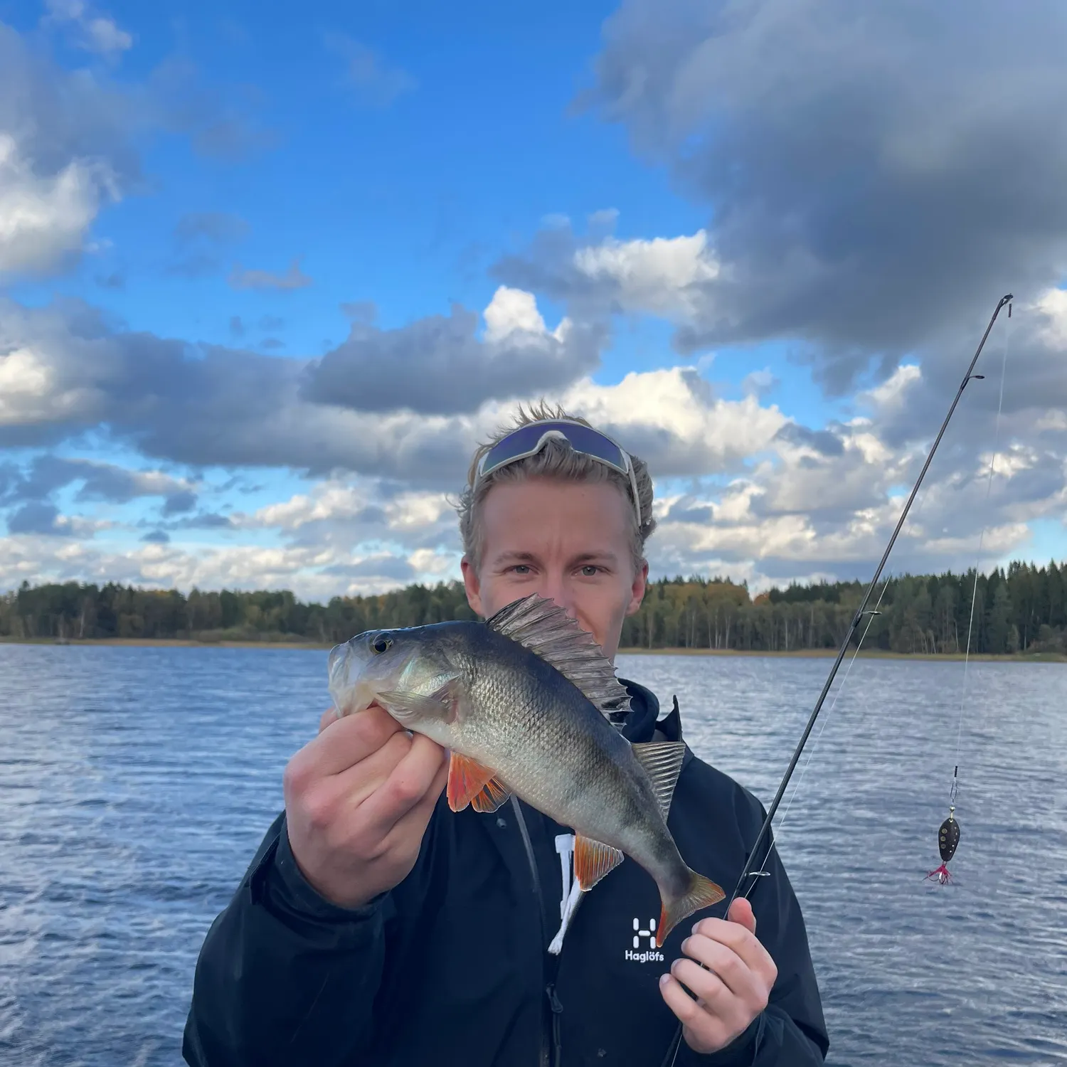 European perch caught on Fishbrain
