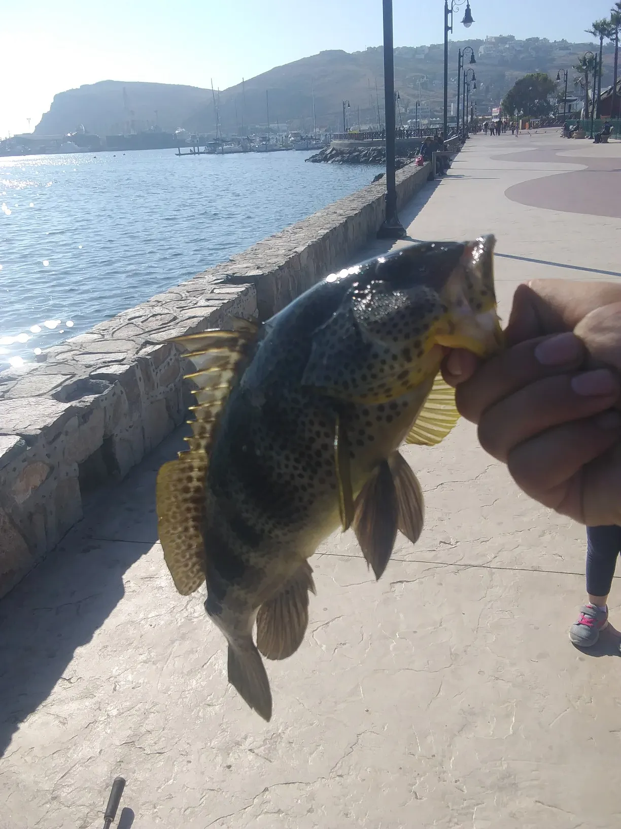 Post image from dledezma3234