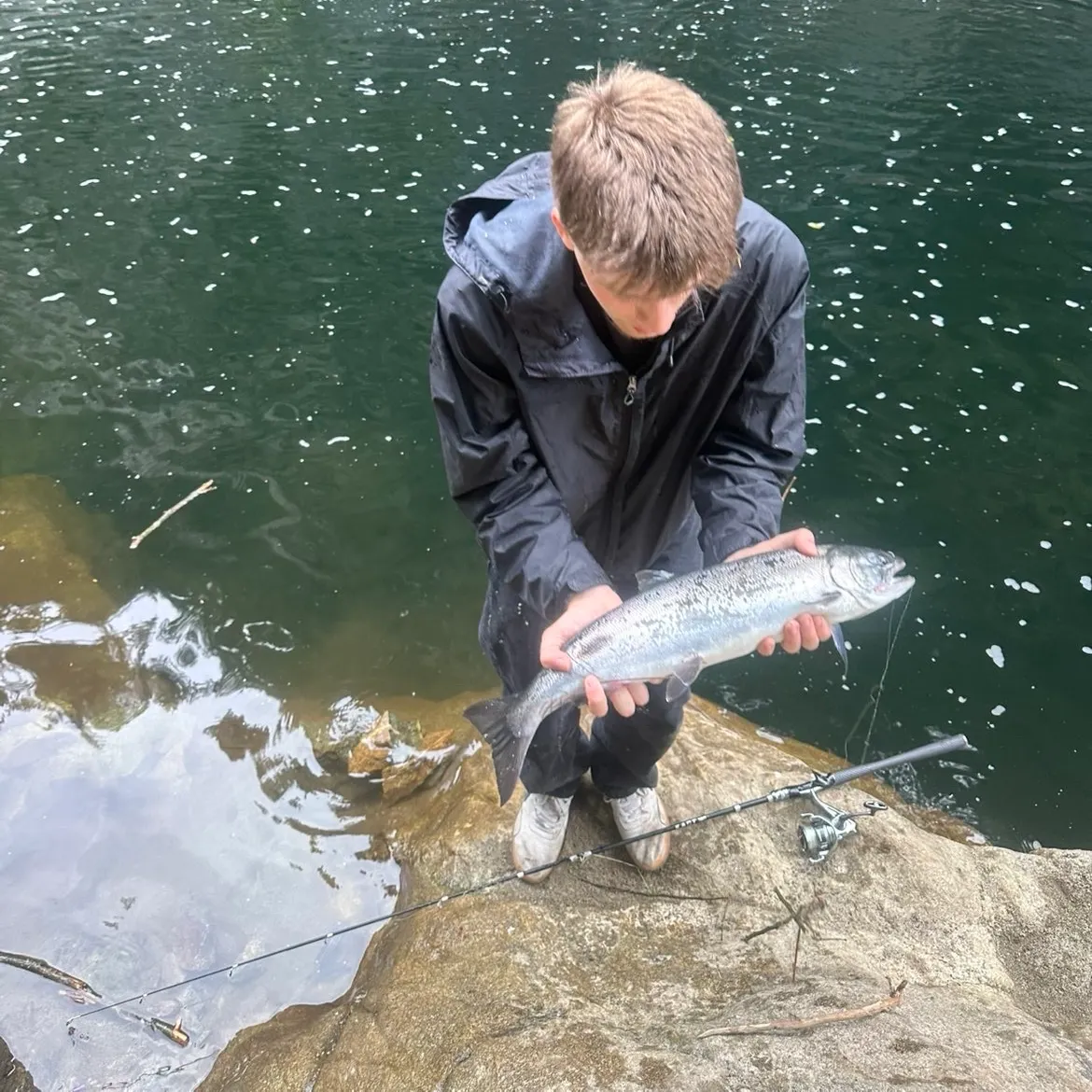 Coho salmon caught on Fishbrain