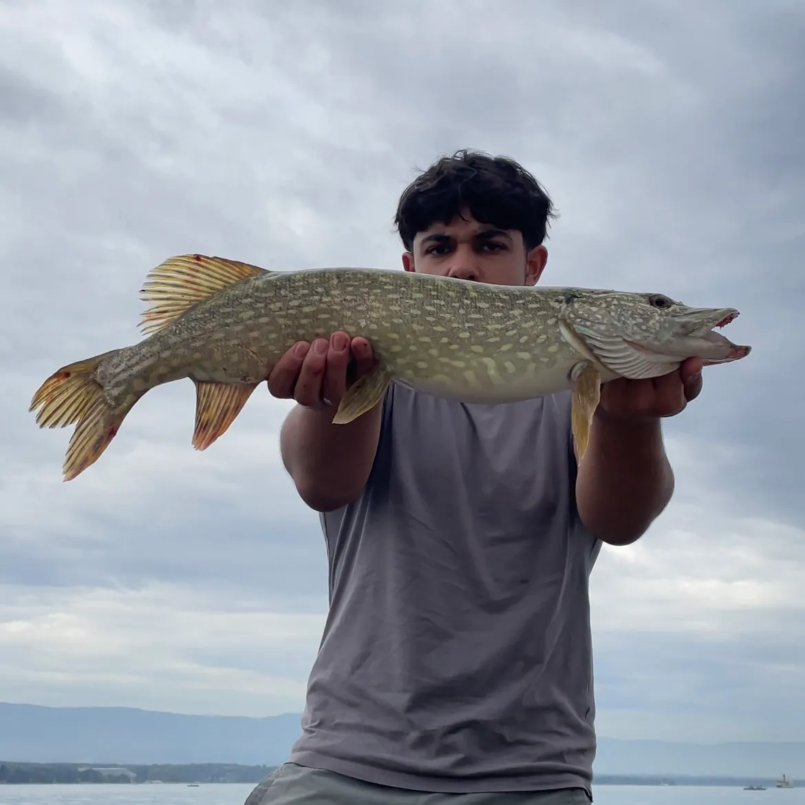 Northern pike caught on Fishbrain