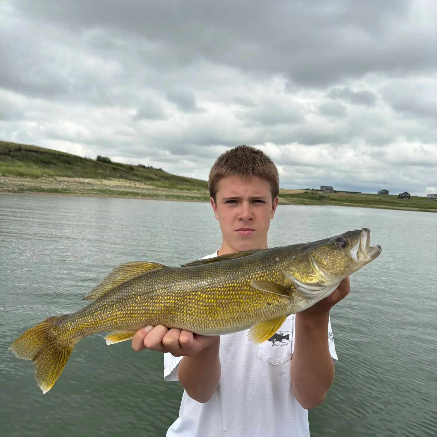 Walleye caught on Fishbrain