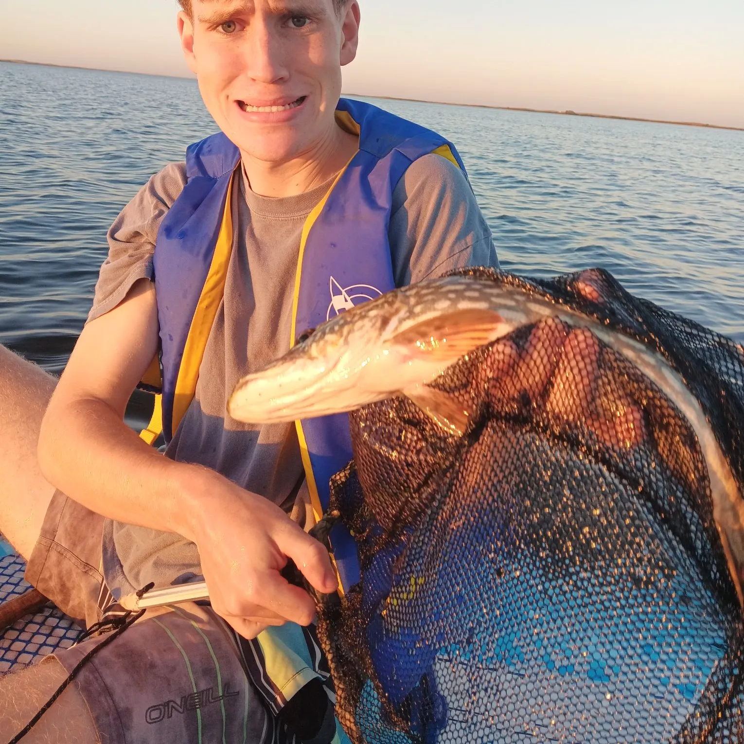 Northern pike caught on Fishbrain