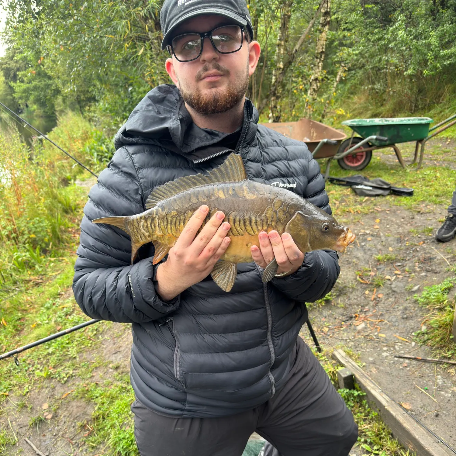 Mirror carp caught on Fishbrain