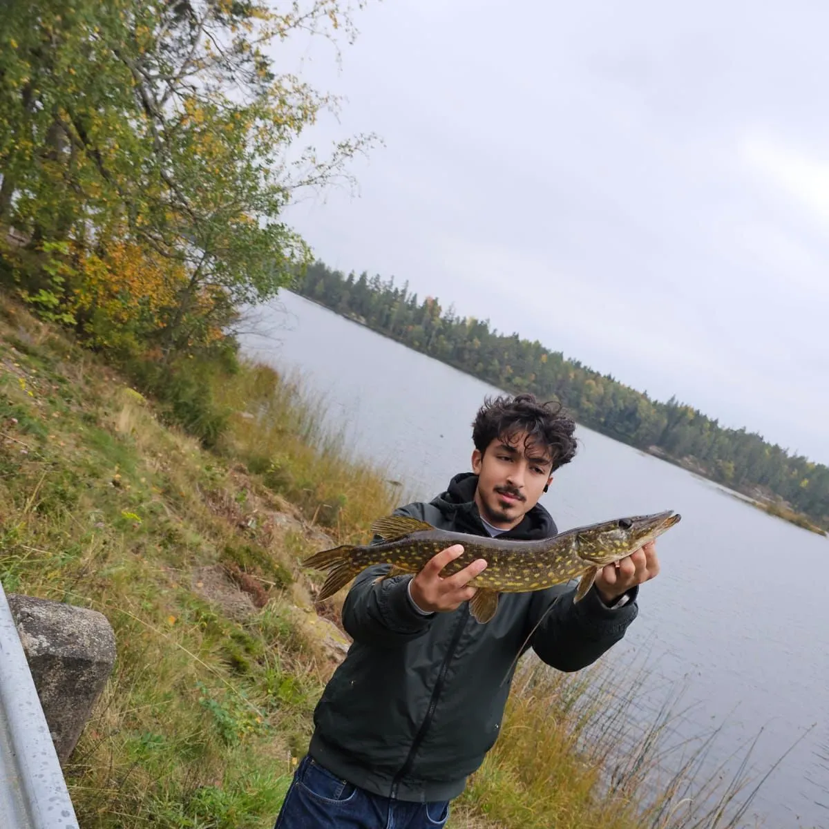 Northern pike caught on Fishbrain