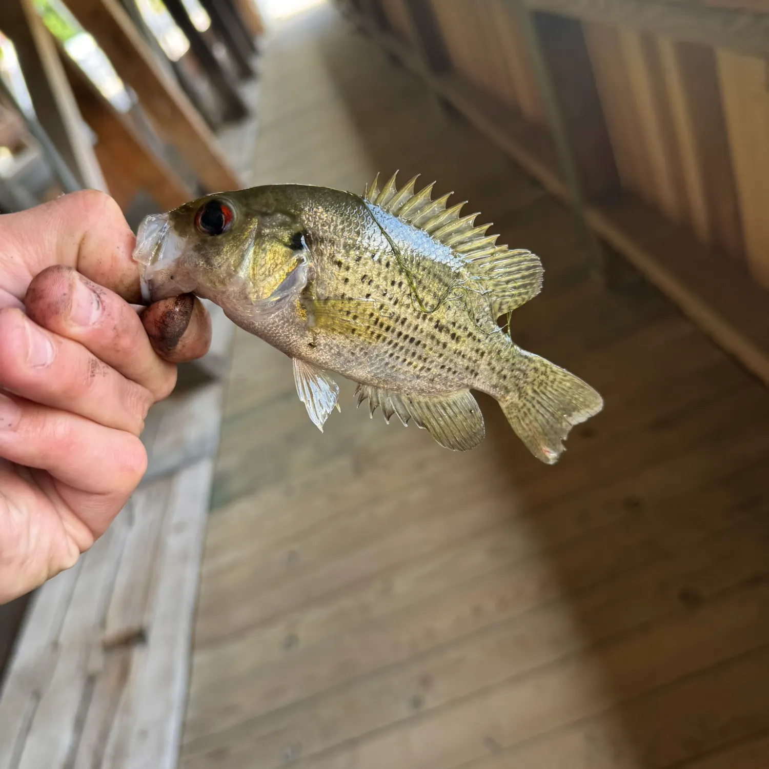 catch