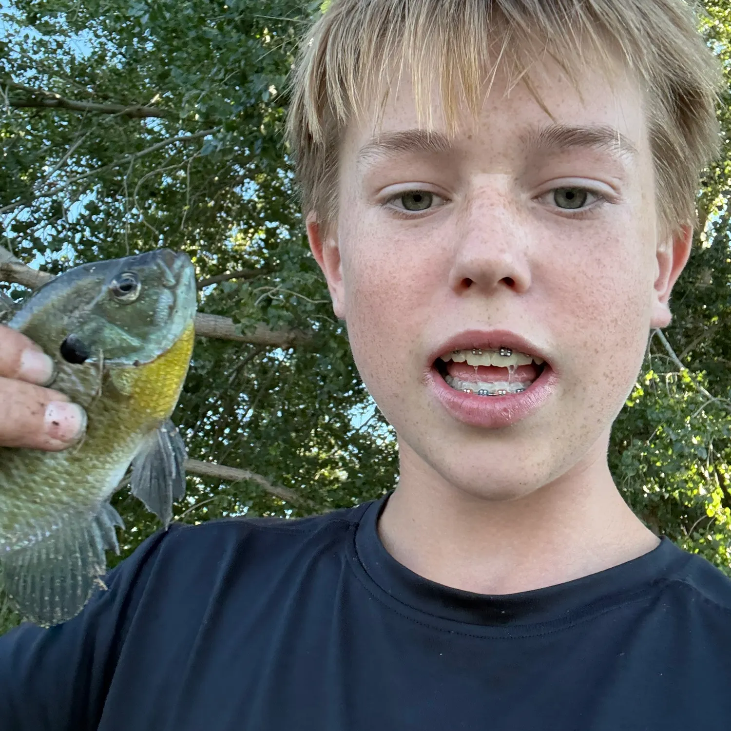 Bluegill caught on Fishbrain