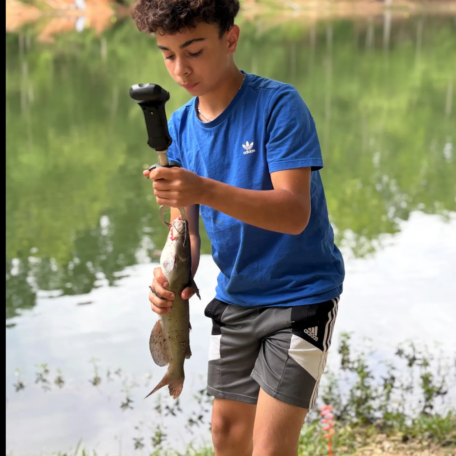 angler catch