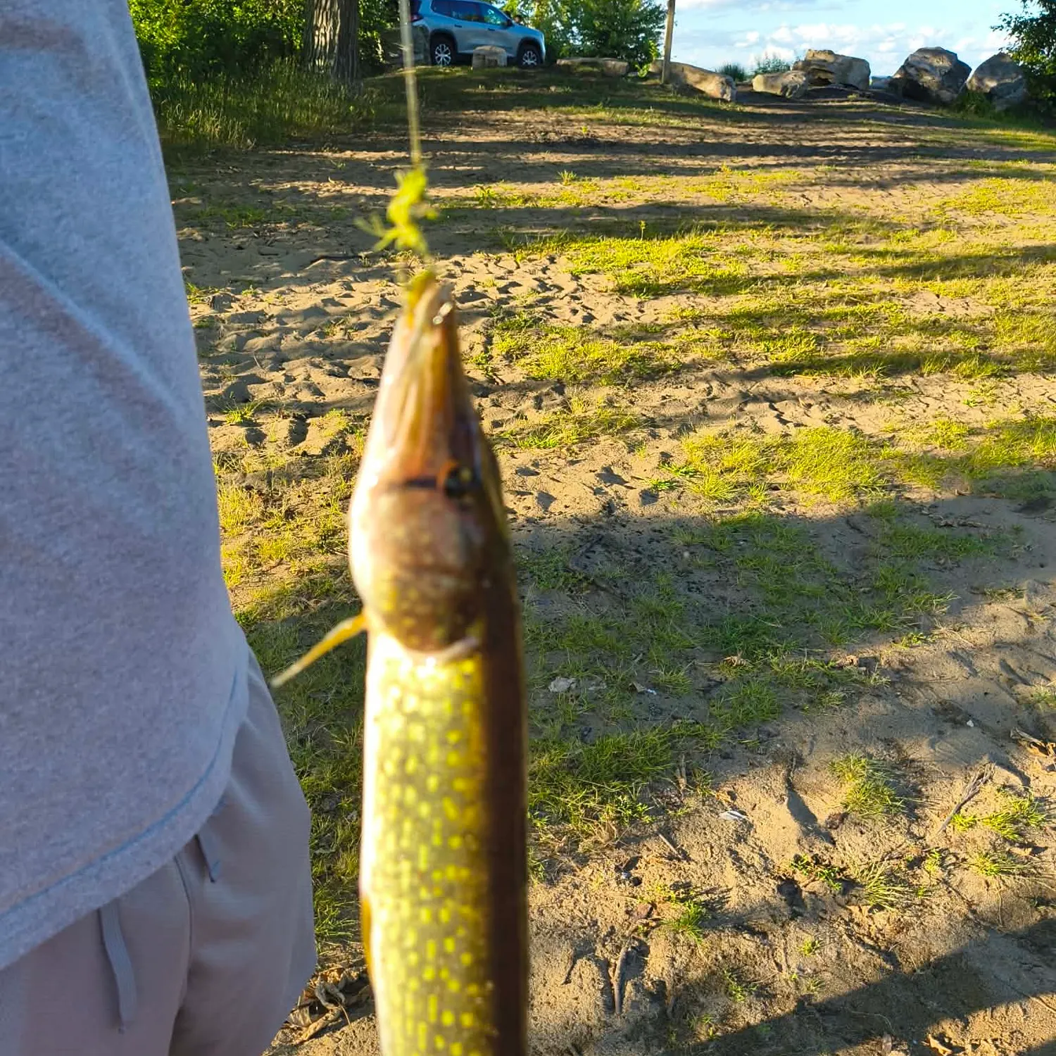 catch
