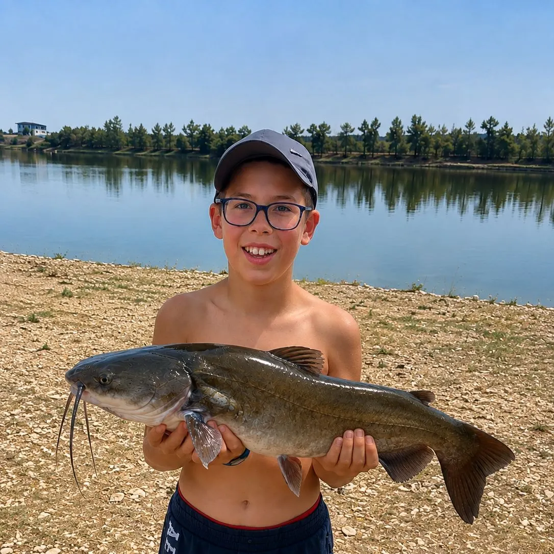 Channel catfish caught on Fishbrain
