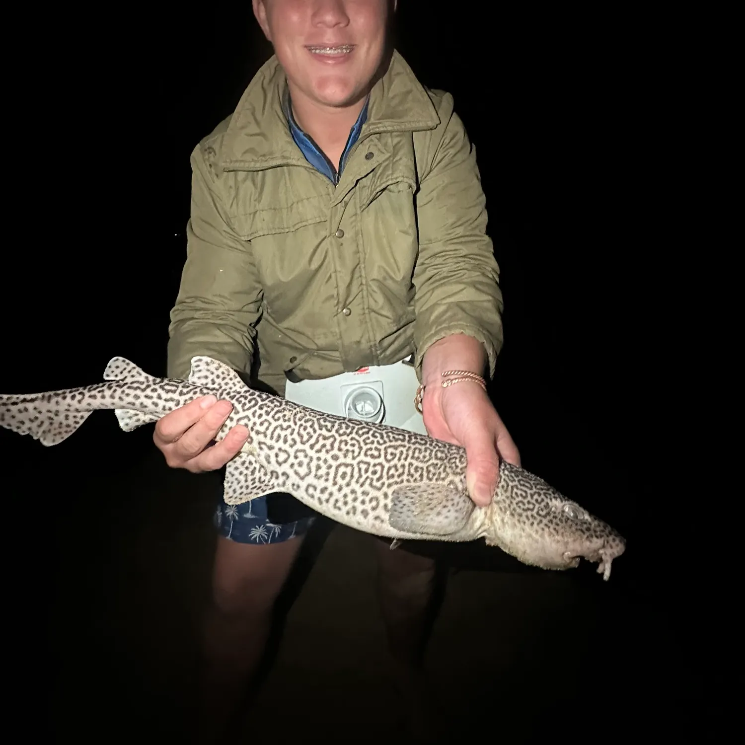 The most popular recent Leopard catshark catch on Fishbrain