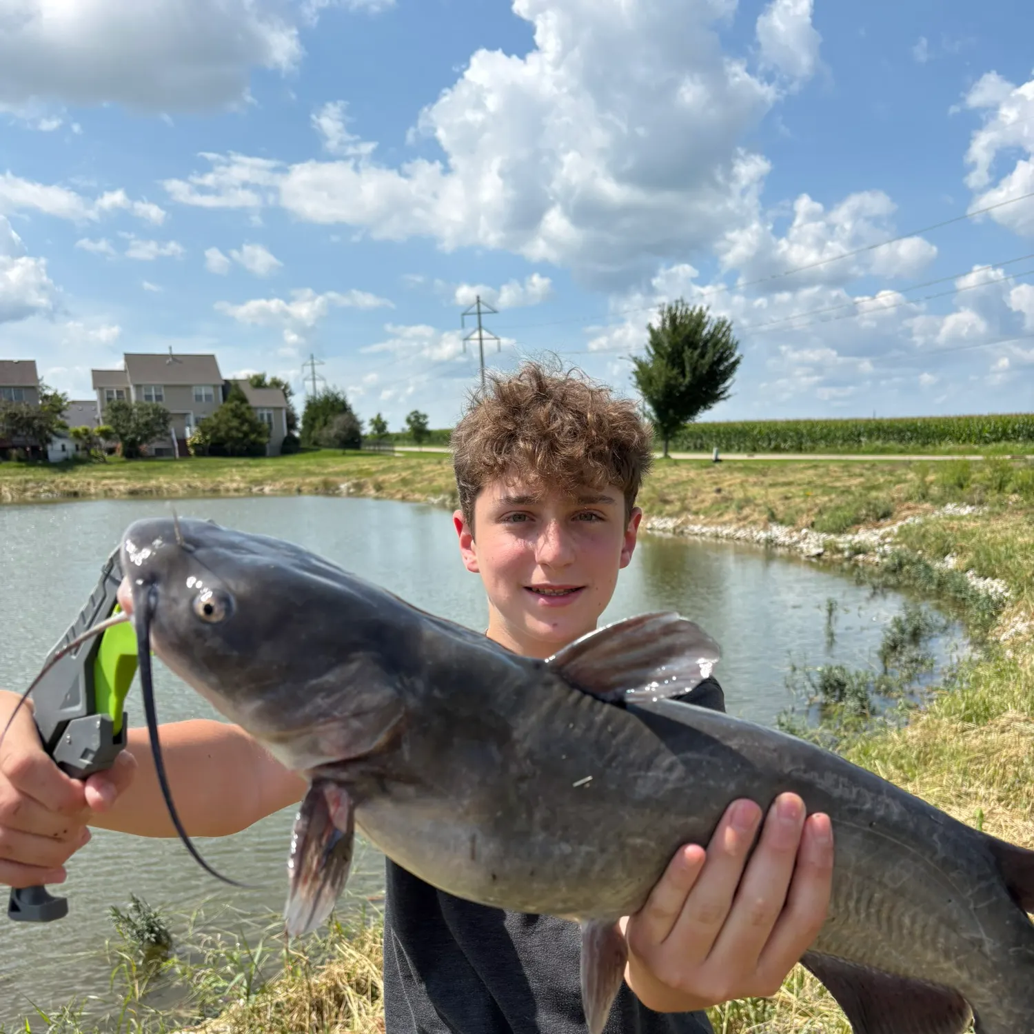 Channel catfish caught on Fishbrain