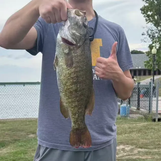 Smallmouth bass caught on Fishbrain