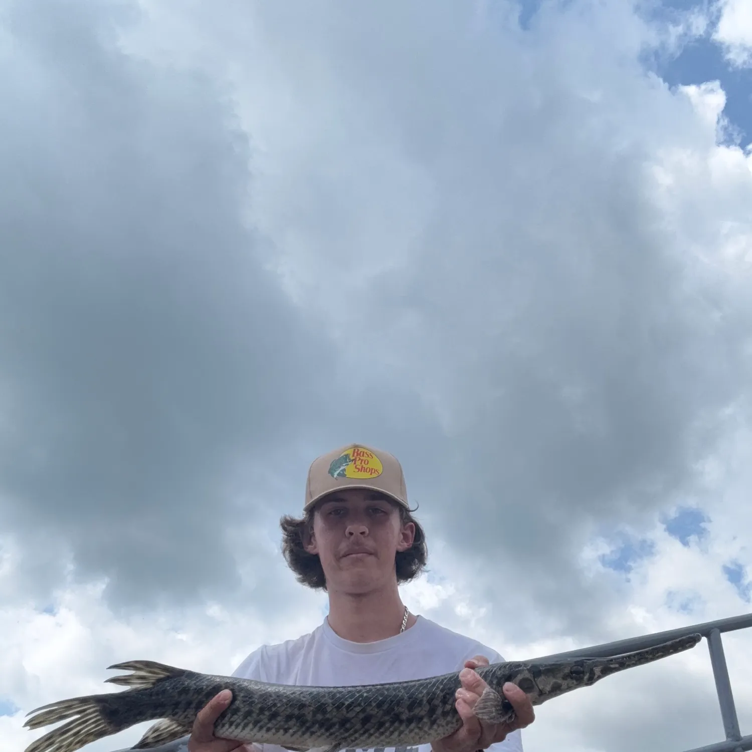 The most recent Spotted gar catches on Fishbrain