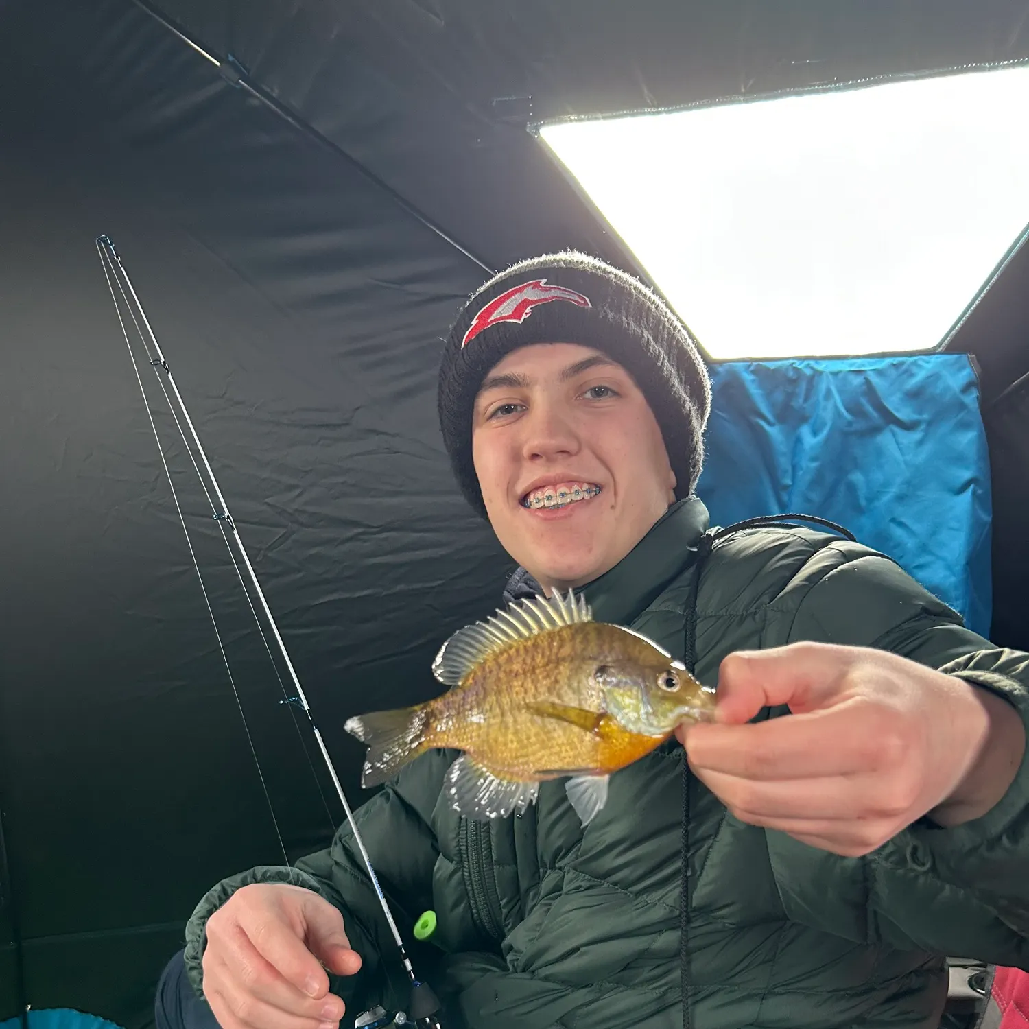The most recent Bluegill catches on Fishbrain