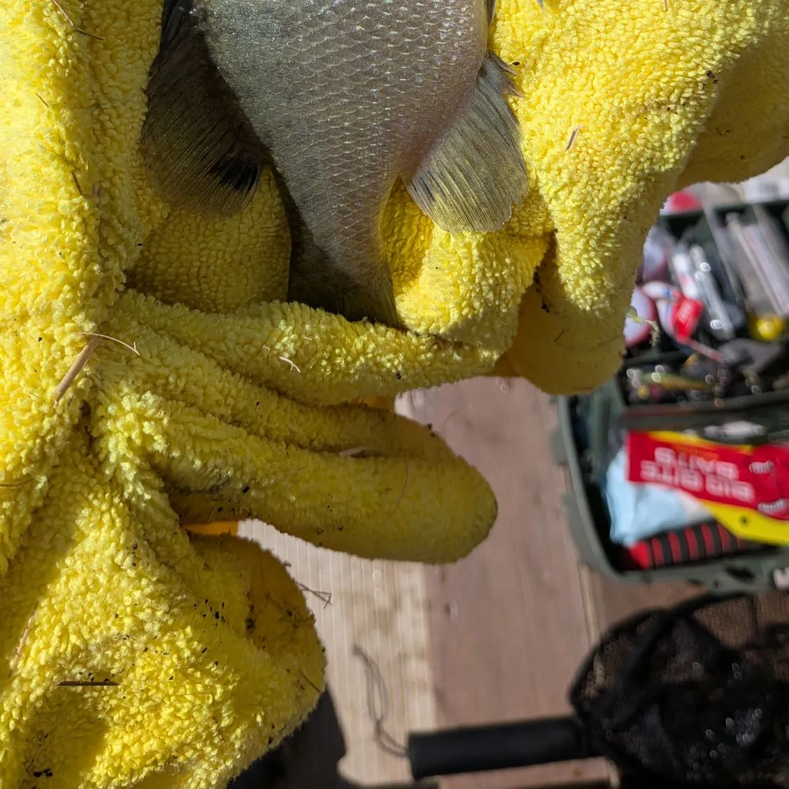 catch