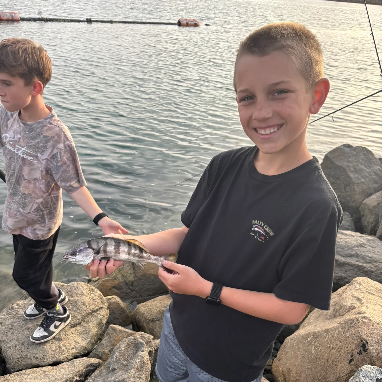 The most recent White seabass catches on Fishbrain