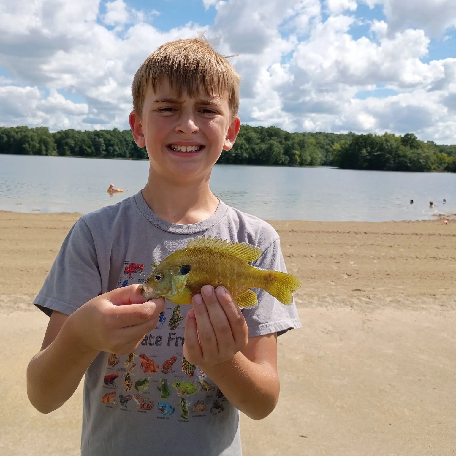 Greengill hybrid caught on Fishbrain