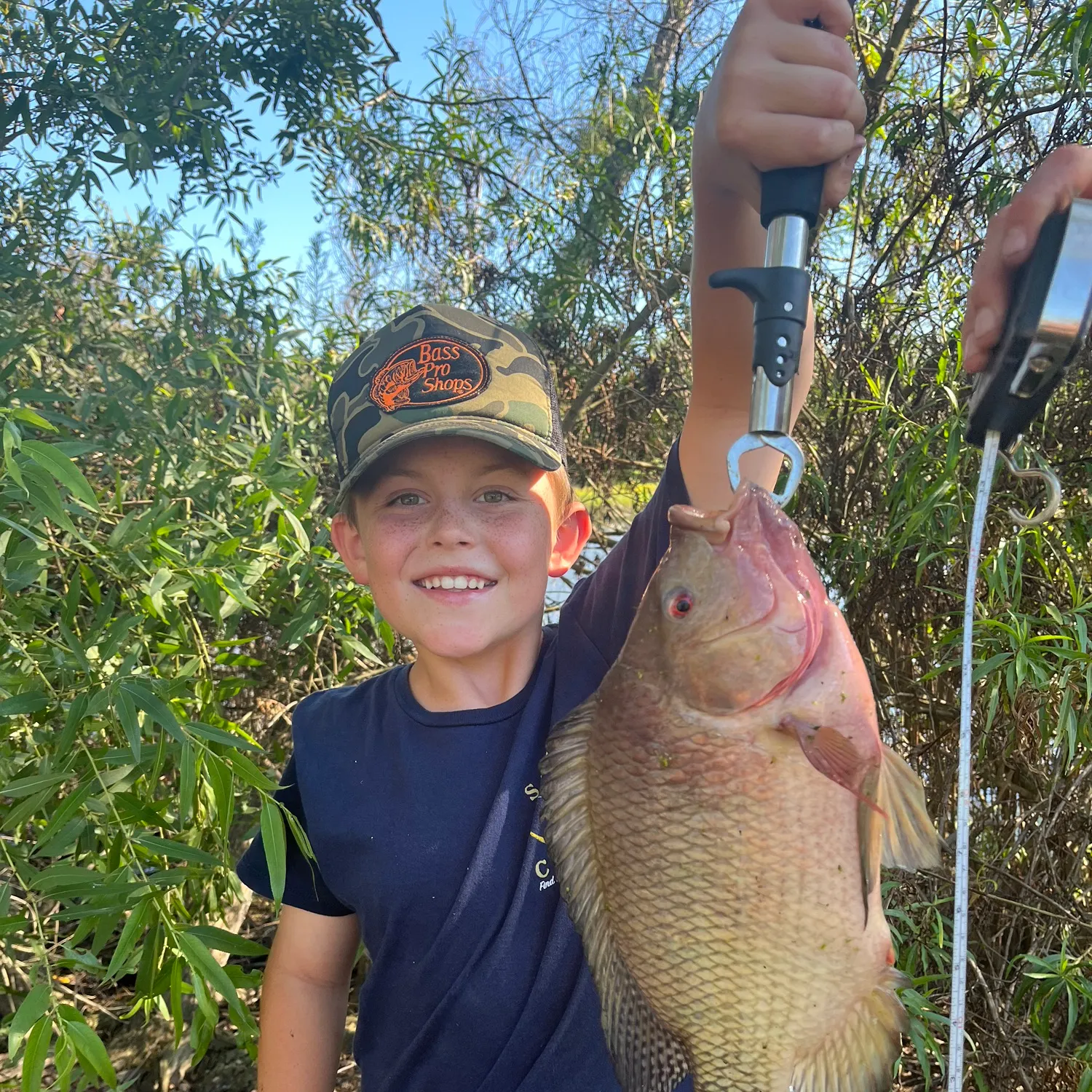 The most recent Red tilapia catches on Fishbrain