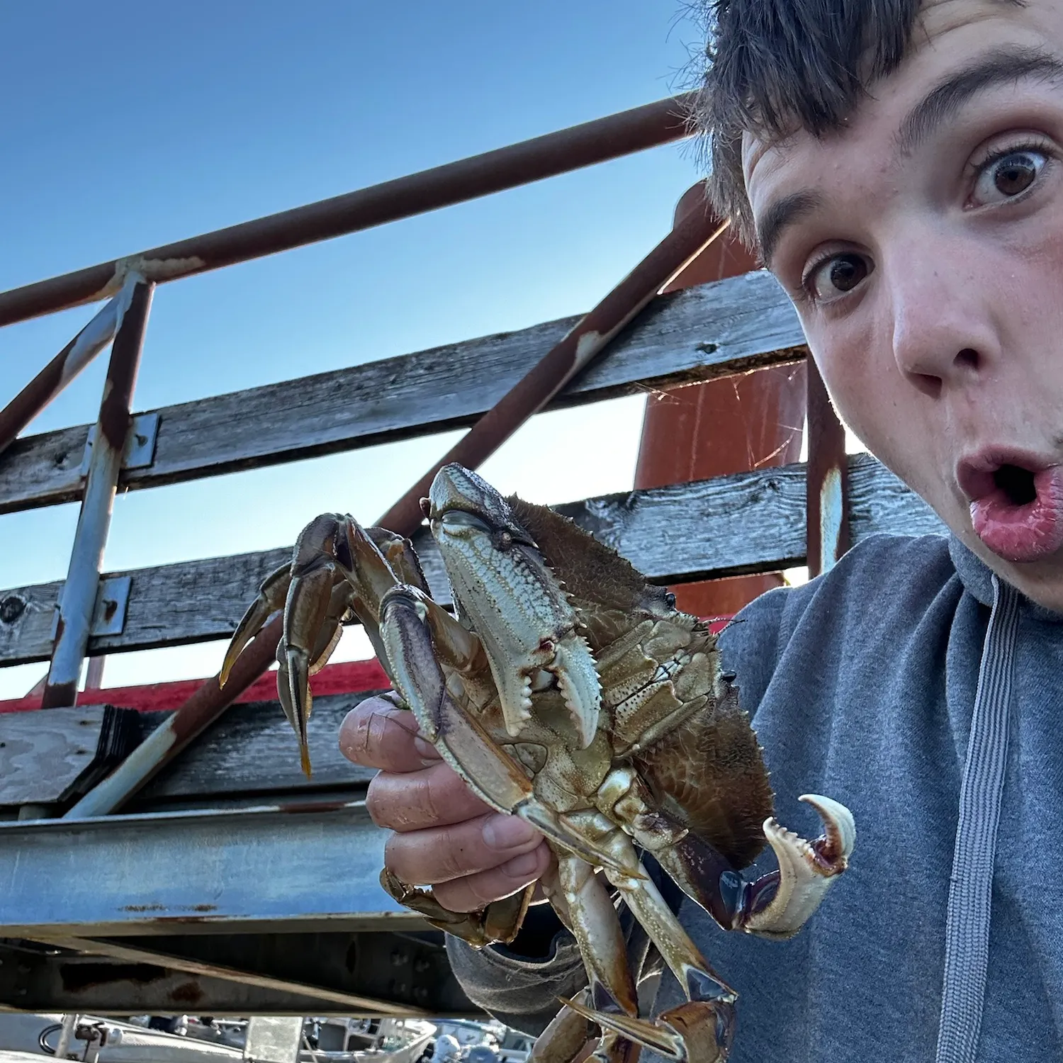 The most recent Dungeness crab catches on Fishbrain