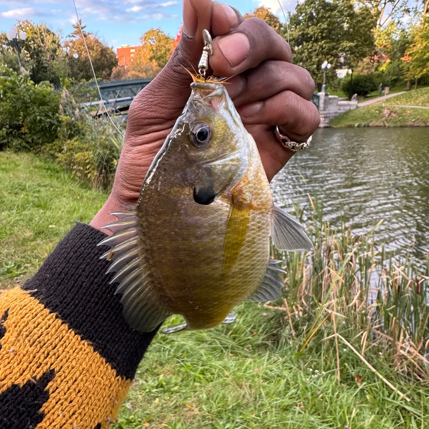 catch